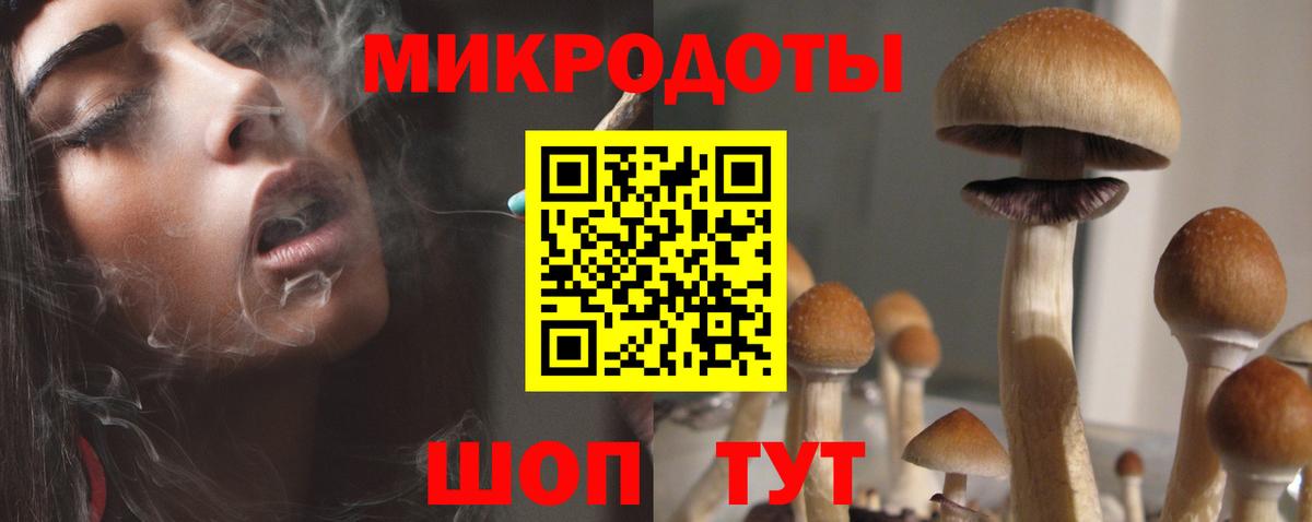 Псилоцибиновые грибы MAGIC MUSHROOMS  Вход с VPN  как найти наркотики  Энгельс  Галлюциногенные грибы мухоморы 